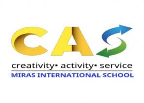 Charity campaign for an animal shelter!